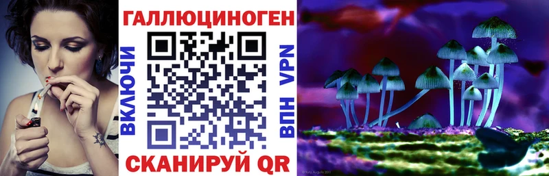 ОМГ ОМГ вход  Киров  Псилоцибиновые грибы прущие грибы 