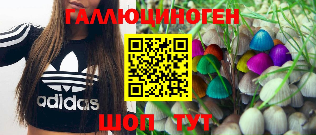 Псилоцибиновые грибы ЛСД  Вход с VPN  Киров 